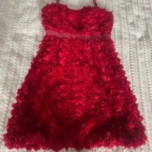 Minuet (Bought from Modcloth) Floral Ruffle Dress